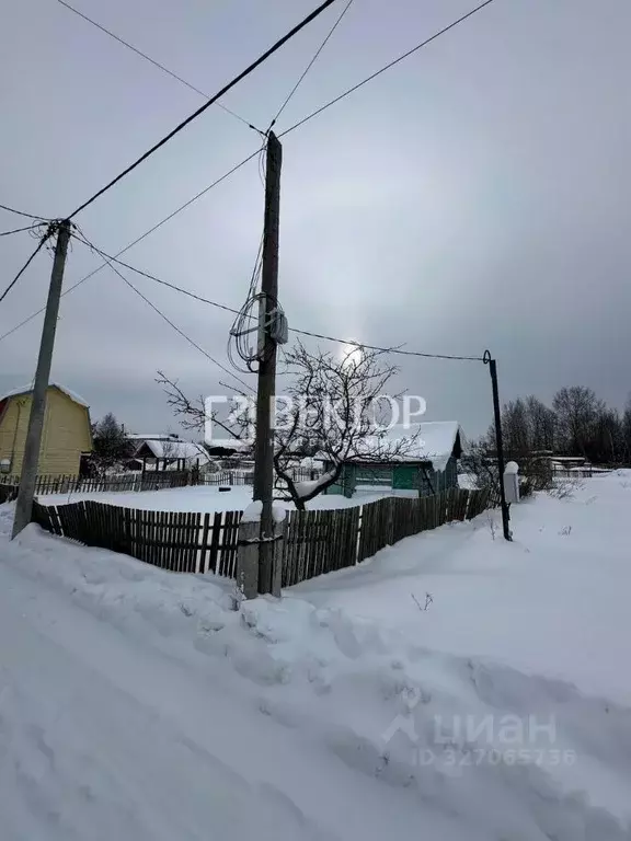 Дом в Костромская область, Кострома Одуванчик СНТ, 38 (20 м) - Фото 2