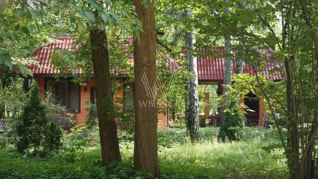 Участок в Москва д. Мякинино,  (66.3 сот.) - Фото 2