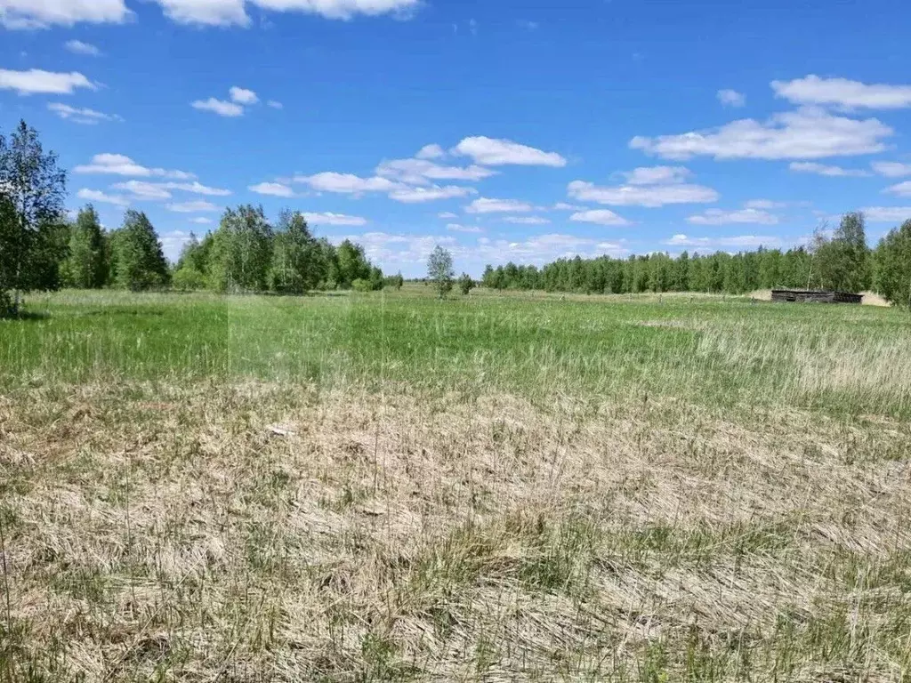 Участок в Тюменская область, Омутинский муниципальный округ, д. ... - Фото 2