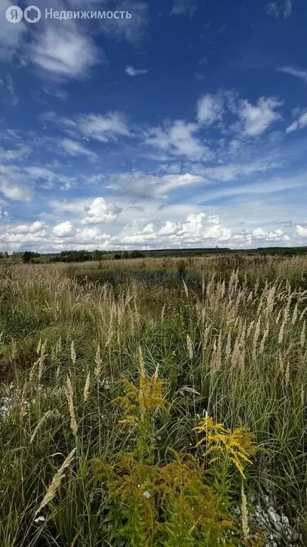Участок в деревня Берёзовка, Северная улица, 27 (12 м) - Фото 2