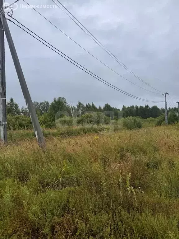 Участок в Шадринск, улица Фофанова (9.69 м) - Фото 1