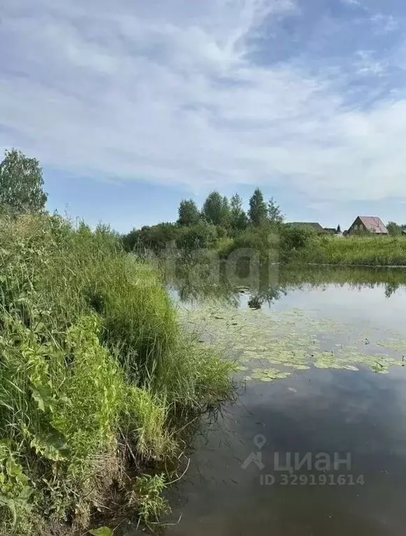 Участок в Новосибирская область, Колыванский район, Рыбачий СНТ 6 ... - Фото 2
