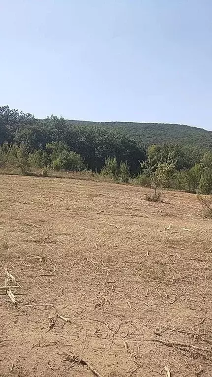 Участок в Севастополь с. Гончарное, ул. Кичигина (50.0 сот.) - Фото 2