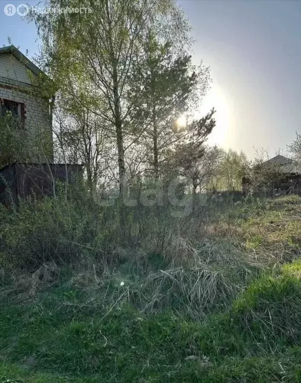 Участок в деревня Добрунь, садоводческое некоммерческое товарищество ... - Фото 1