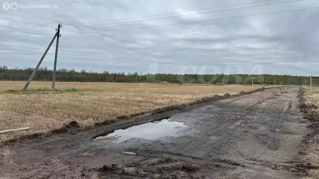 Участок в Свердловская область, Тугулымский муниципальный округ, ... - Фото 1