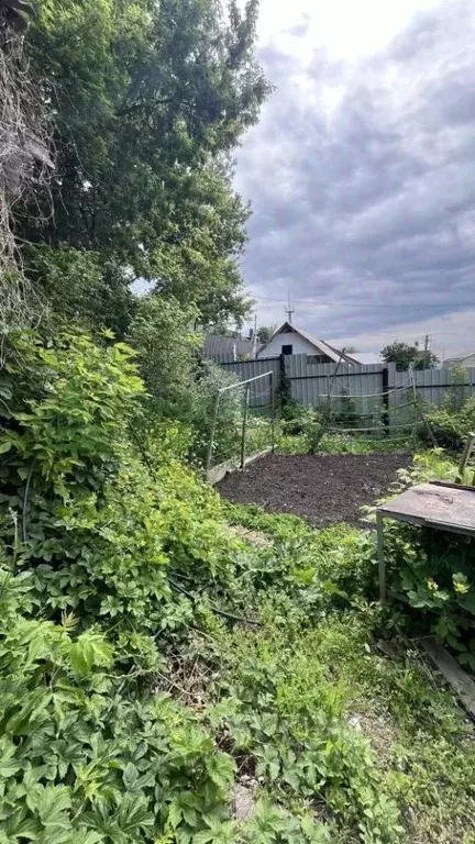 Дом в Саратовская область, Саратов ул. Имени В.А. Рогожина, 56 (51 м) - Фото 2