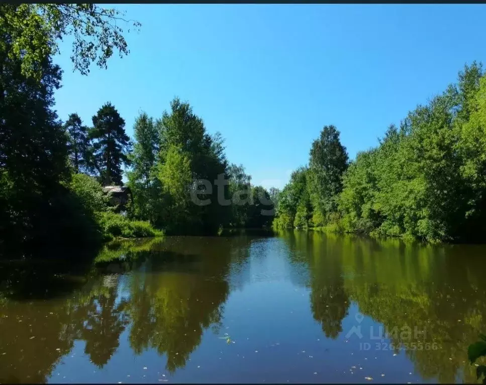 Участок в Московская область, Химки Отдых Плюс СНТ, 50 (15.0 сот.) - Фото 2