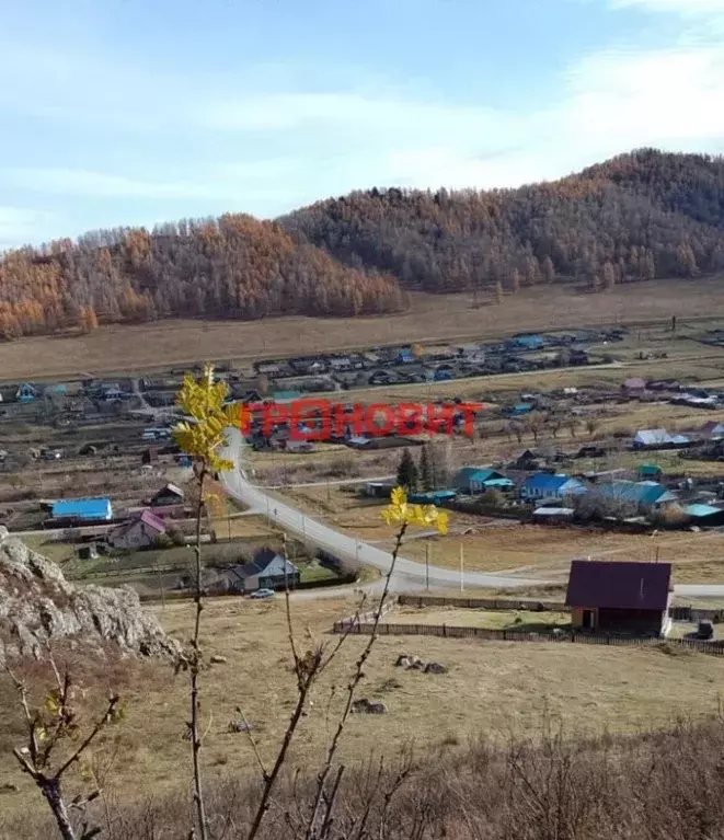 Дом в Алтай, Шебалинский район, с. Шебалино ул. Подгорная, 3 (64 м) - Фото 0