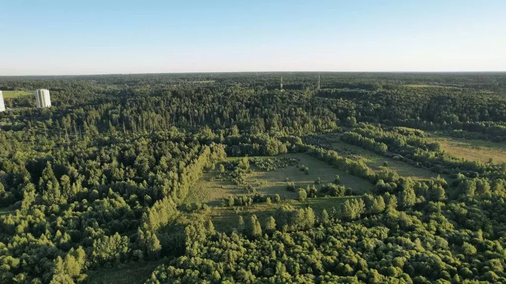 Участок в Московская область, Звенигород Одинцовский городской округ, ... - Фото 1