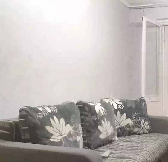 2-к кв. Кемеровская область, Кемерово просп. Ленина, 133 (54.0 м) - Фото 2