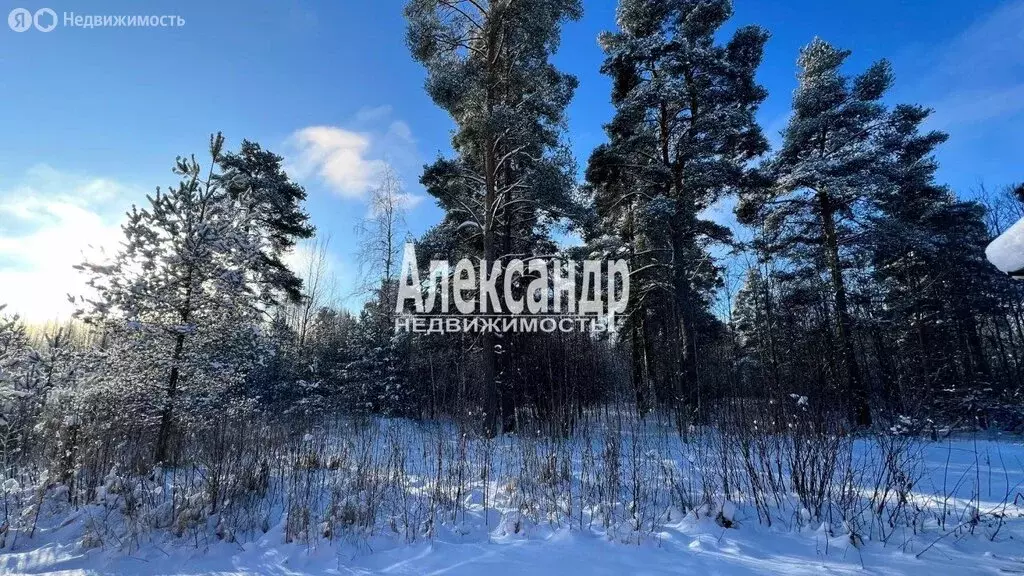 Участок в Выборг, Ракитная улица (20 м) - Фото 1