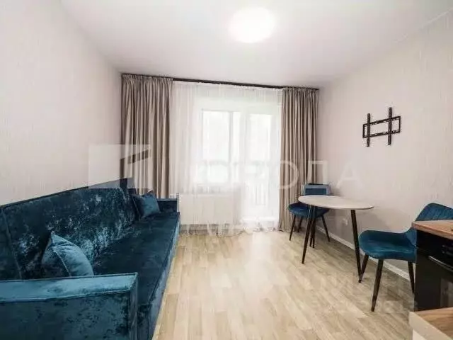 Студия Новосибирская область, Новосибирский район, Станционный ... - Фото 2