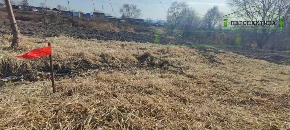 Участок в Приморский край, Артемовский городской округ, с. Кролевцы ... - Фото 2