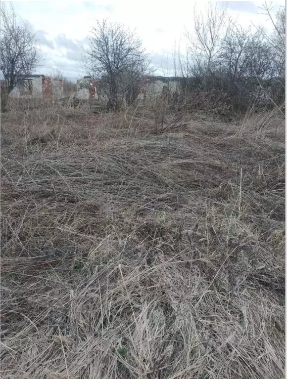 Участок в Чувашия, Ядрин  (10.0 сот.) - Фото 2