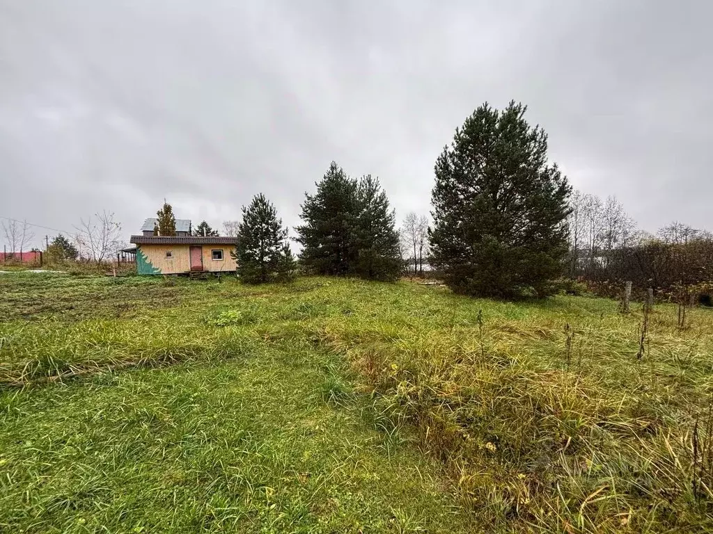 Дом в Псковская область, Куньинский район, Жижицкая волость, д. Бурая  ... - Фото 1