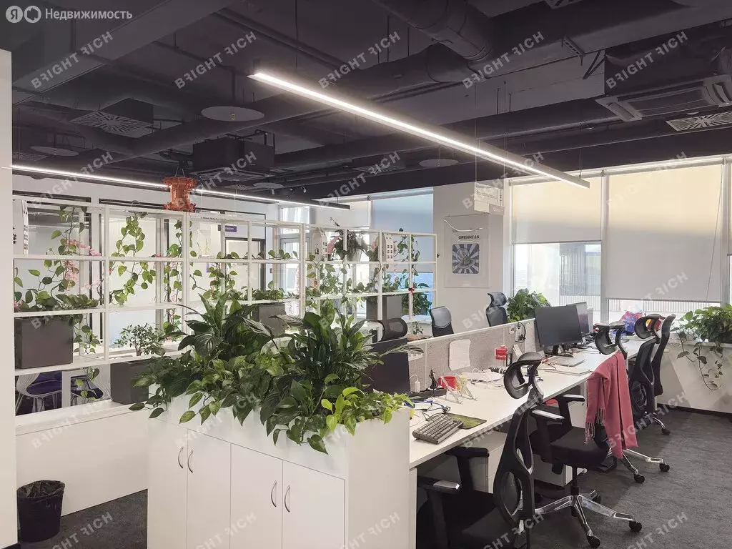 Офис (1287 м) - Фото 2