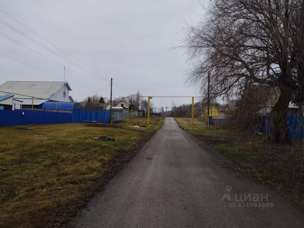 Участок в Самарская область, Шигонский район, с. Муранка ул. Мичурина ... - Фото 2