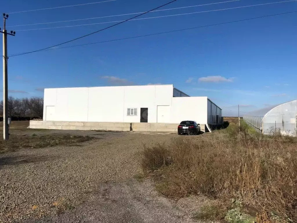 Склад в Ростовская область, Мясниковский район, Недвиговка хут. ... - Фото 1