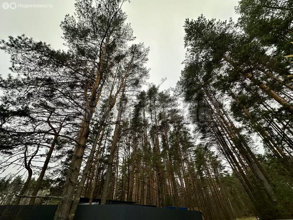 Участок в Смоленский муниципальный округ, деревня Уфинье (100 м) - Фото 1