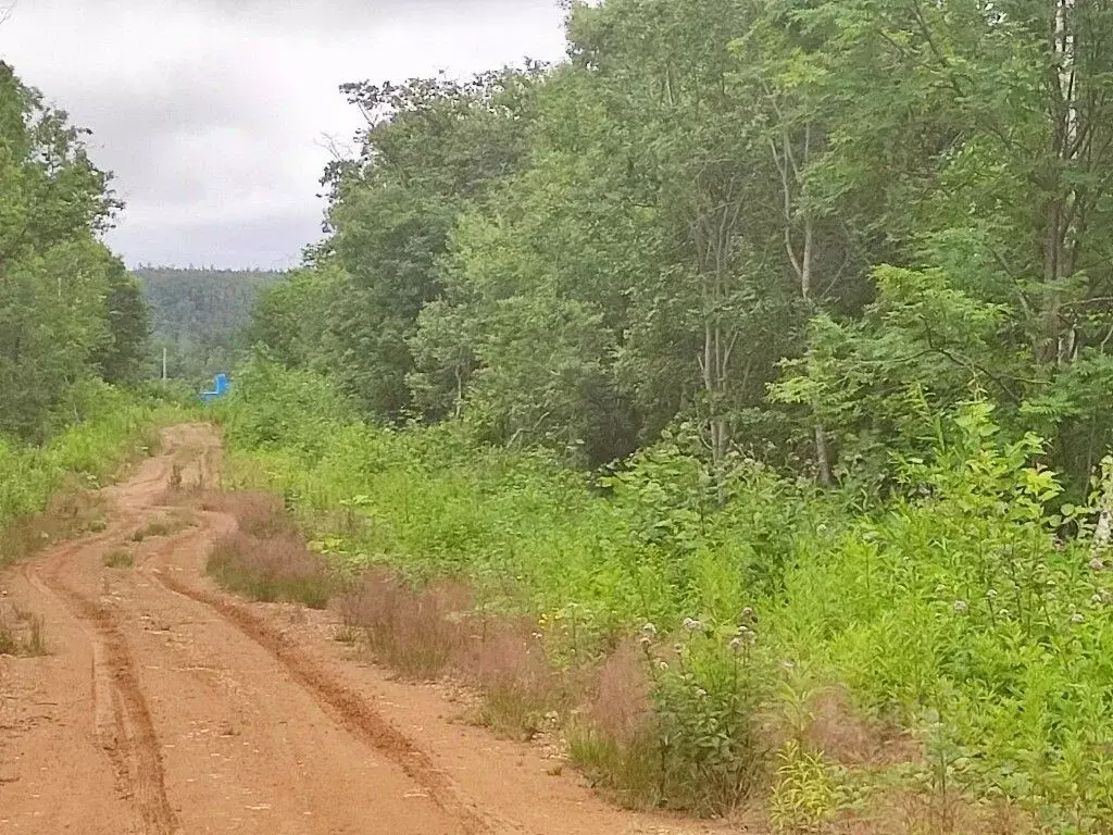 Участок в Сахалинская область, Южно-Сахалинск Наука ДНТ,  (12.5 сот.) - Фото 0