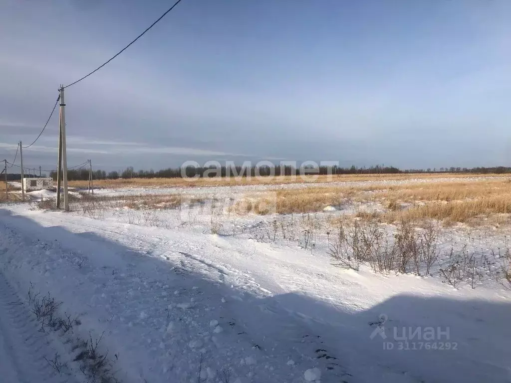 Участок в Московская область, Луховицы городской округ, д. Павловское ... - Фото 0