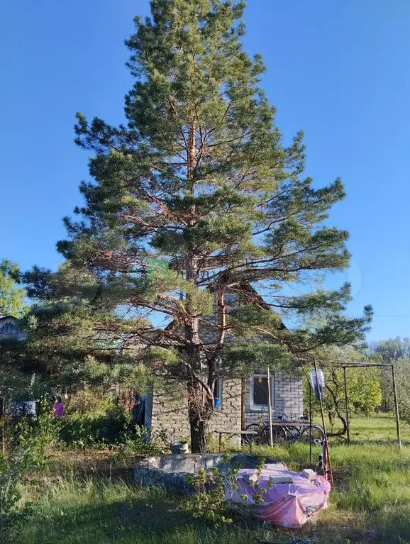 Дача 34 м на участке 6 сот. - Фото 0