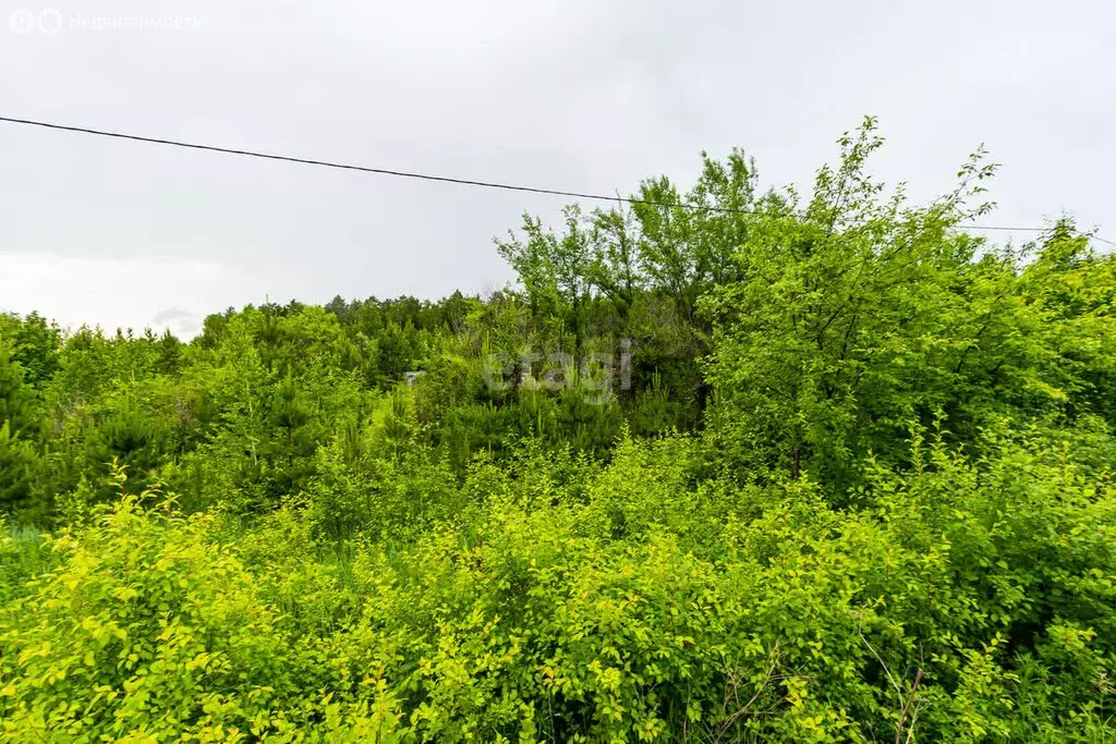 Участок в Тюменский район, деревня Ушакова (6 м) - Фото 0