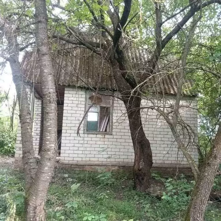 Участок в Белгородская область, Белгородский муниципальный округ, с. ... - Фото 1