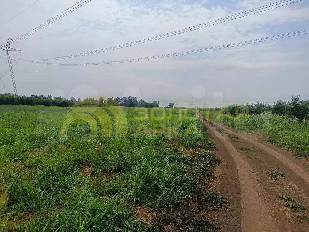 Участок 4,5 га (СНТ, ДНП) - Фото 0