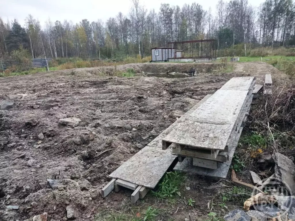 Участок в Ленинградская область, Всеволожский район, Морозовское ... - Фото 2