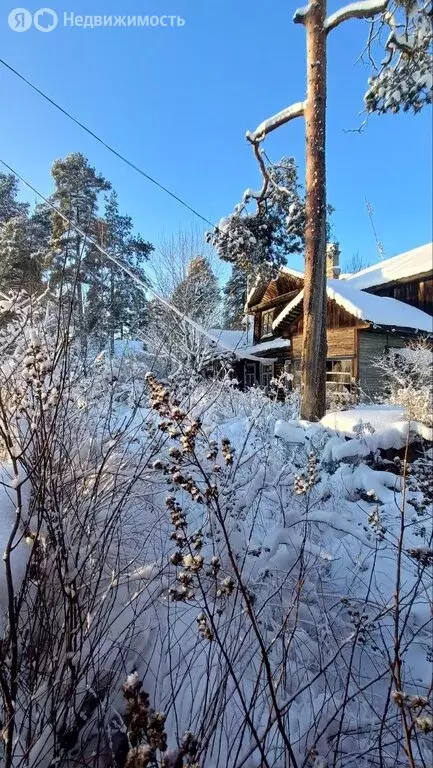 Участок в городской посёлок Вырица, улица Жертв Революции (7.49 м) - Фото 1