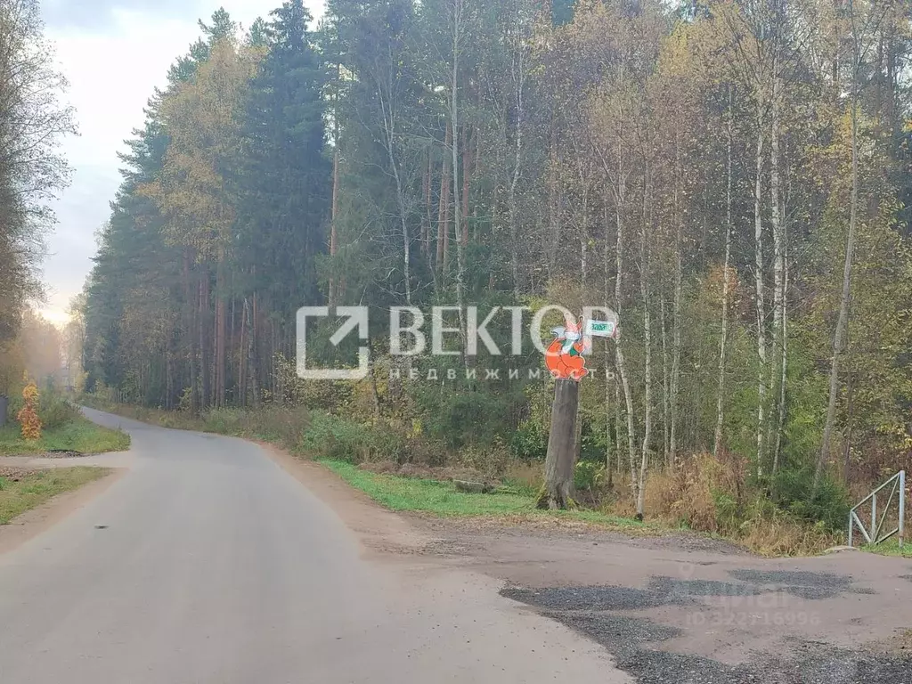 Участок в Ярославская область, Ярославский муниципальный округ, д. ... - Фото 1