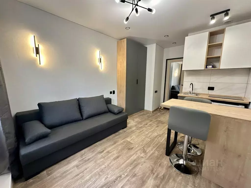 Студия Алтайский край, Барнаул ул. Эмилии Алексеевой, 5к2 (15.0 м) - Фото 2