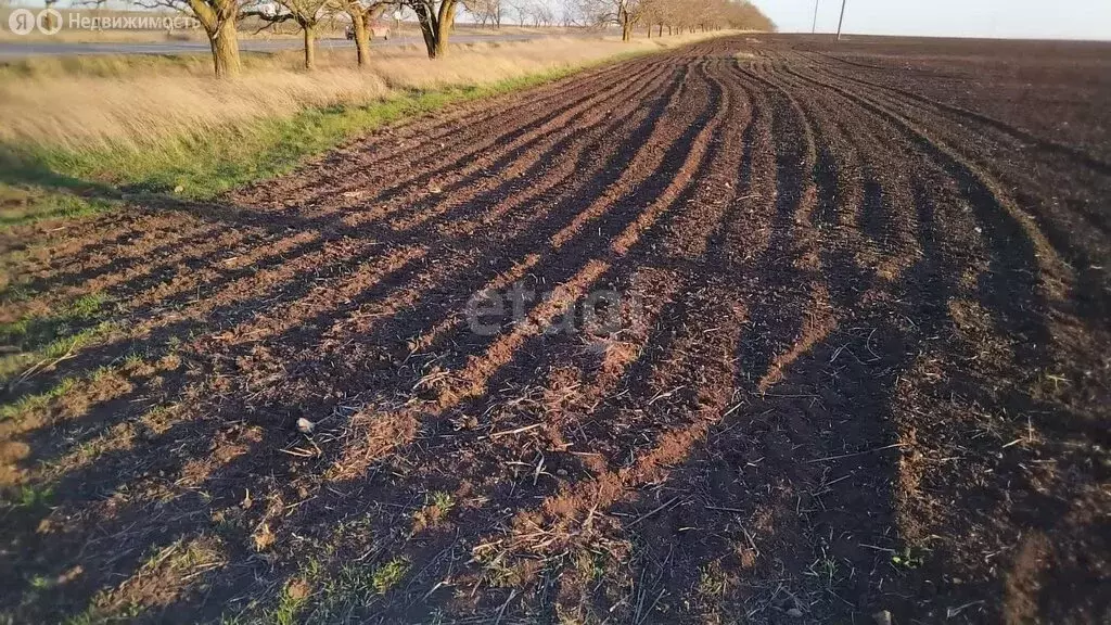 Участок в село Кировское, улица 50 лет СССР (5286.5 м) - Фото 1