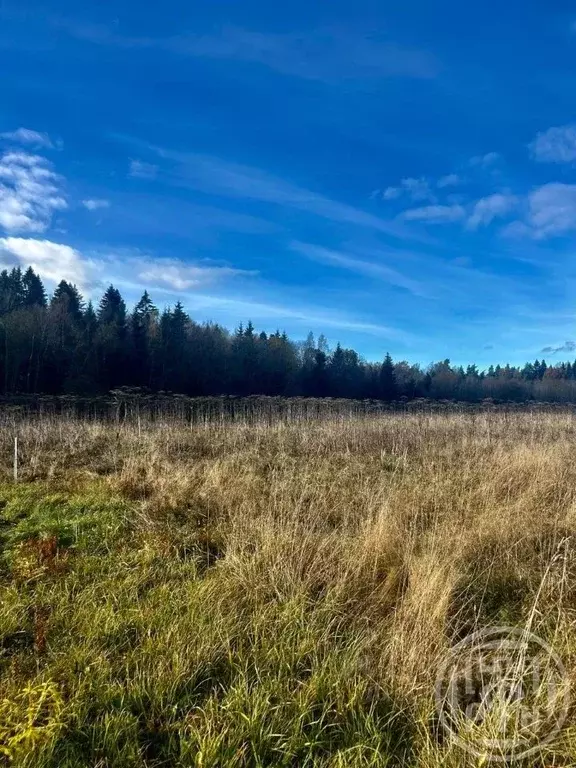 Участок в Ленинградская область, Ломоносовский район, Лопухинское ... - Фото 2