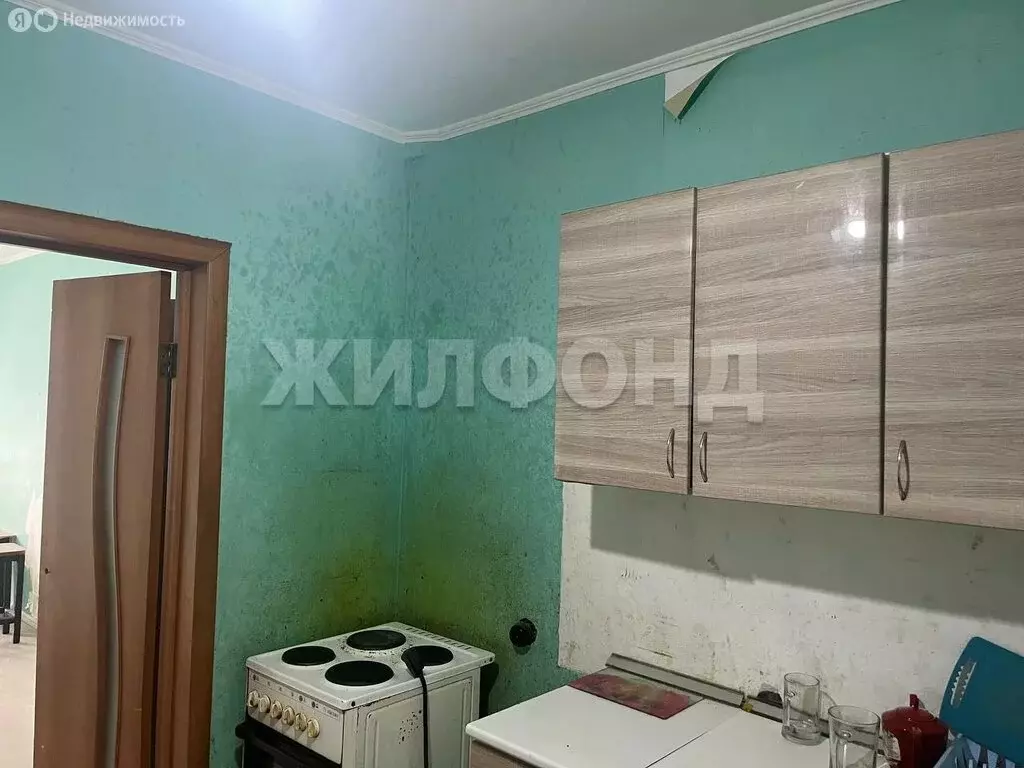 3-комнатная квартира: Новосибирск, улица Виталия Потылицына, 13/2 ... - Фото 1