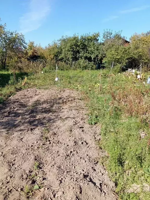 Участок в Марий Эл, Медведевский район, Краснооктябрьский городское ... - Фото 1