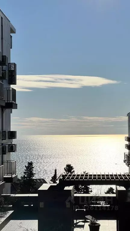 1-к кв. Краснодарский край, Сочи Курортный просп., 96Гк2 (31.0 м) - Фото 1