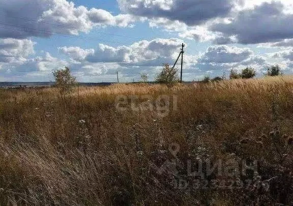Участок в Мордовия, Лямбирский район, с. Атемар ул. Деревушка (15.62 ... - Фото 2