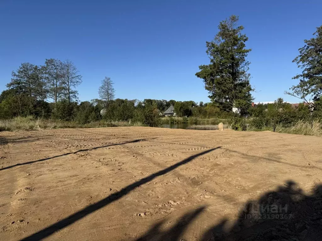 Участок в Калининградская область, Светлогорск Радуга СНТ, 7-я линия ... - Фото 1