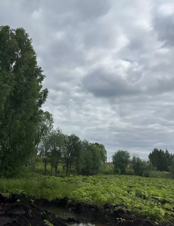 Участок в Коми, Сыктывкар пос. Холмы-3,  (8.42 сот.) - Фото 1