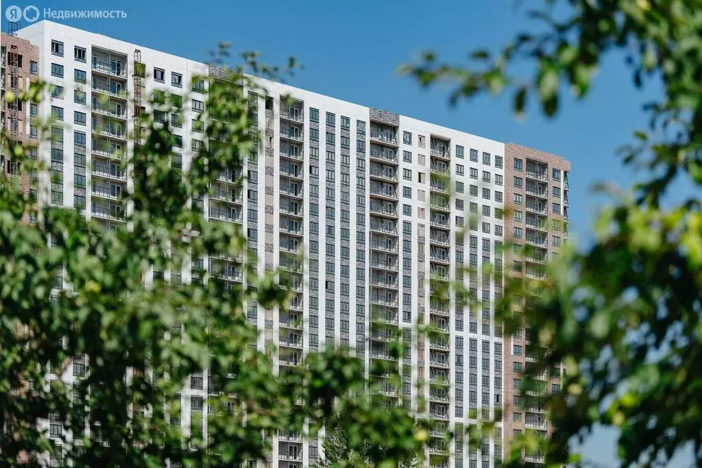 Помещение свободного назначения (3.2 м) - Фото 1