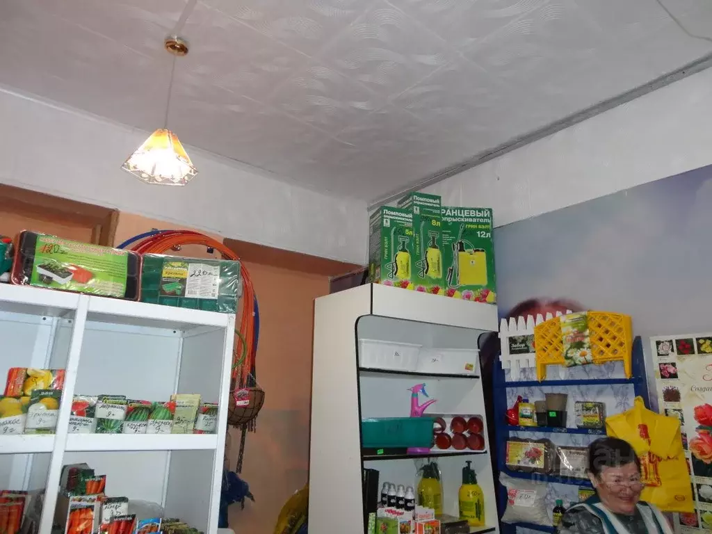 Помещение свободного назначения в Амурская область, с. Тамбовка ул. ... - Фото 1