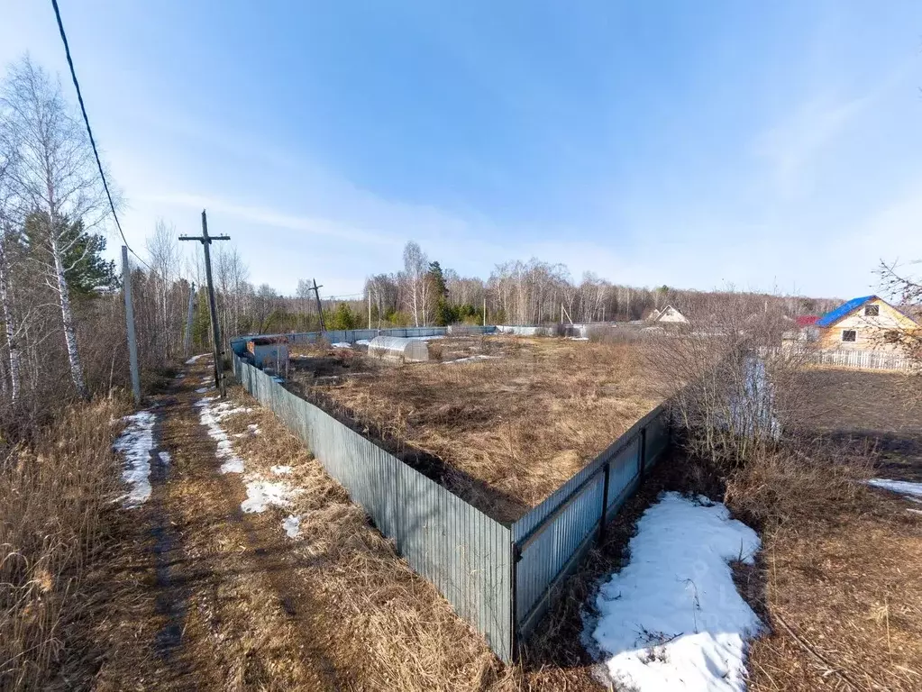 Участок в Тюменская область, Тюмень Светлячок садовое товарищество, ... - Фото 1