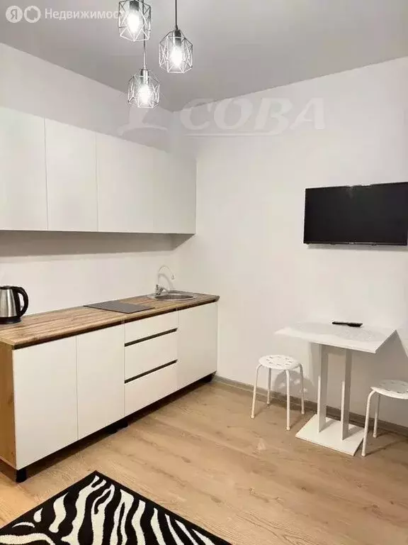 Квартира-студия: микрорайон Мелиораторов, улица Мелиораторов, 52 (18.7 ... - Фото 2