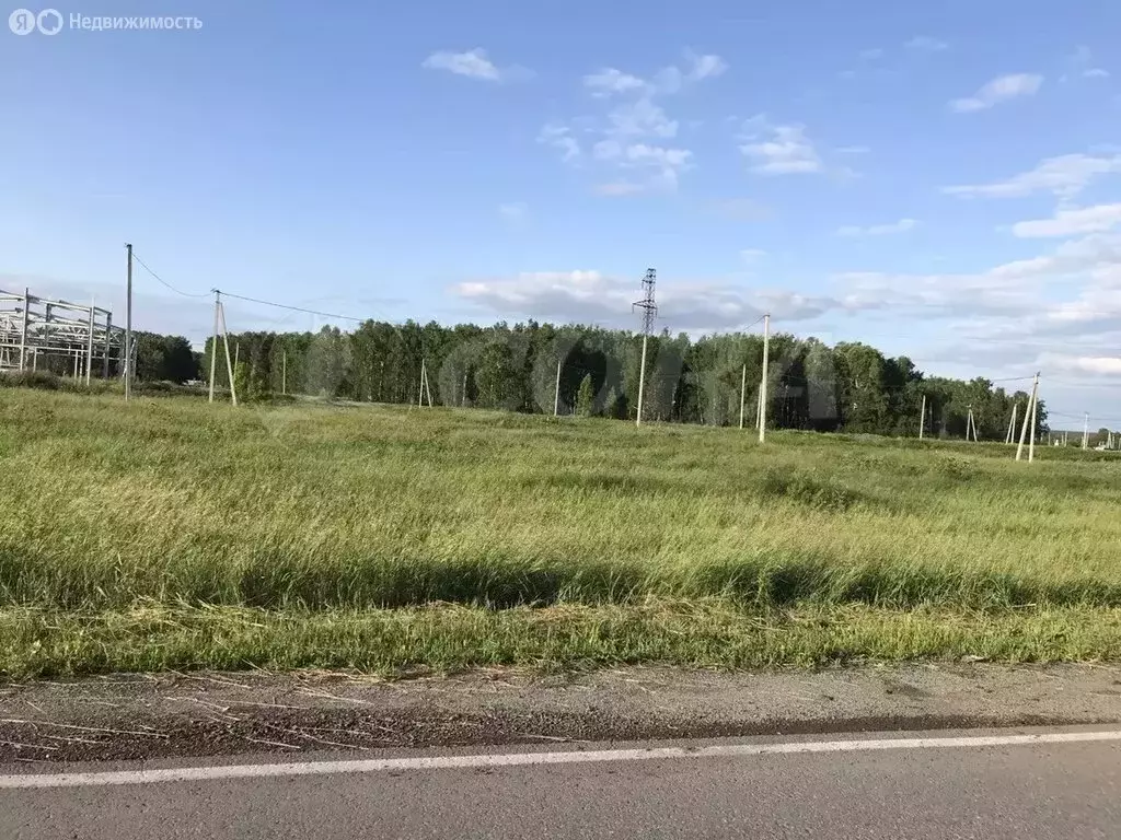 Участок в Тюменская область, Заводоуковск (39 м) - Фото 1