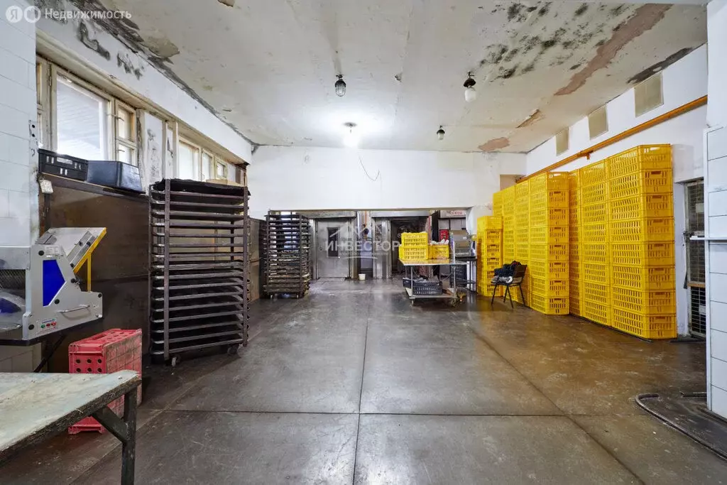 Помещение свободного назначения (440 м) - Фото 2