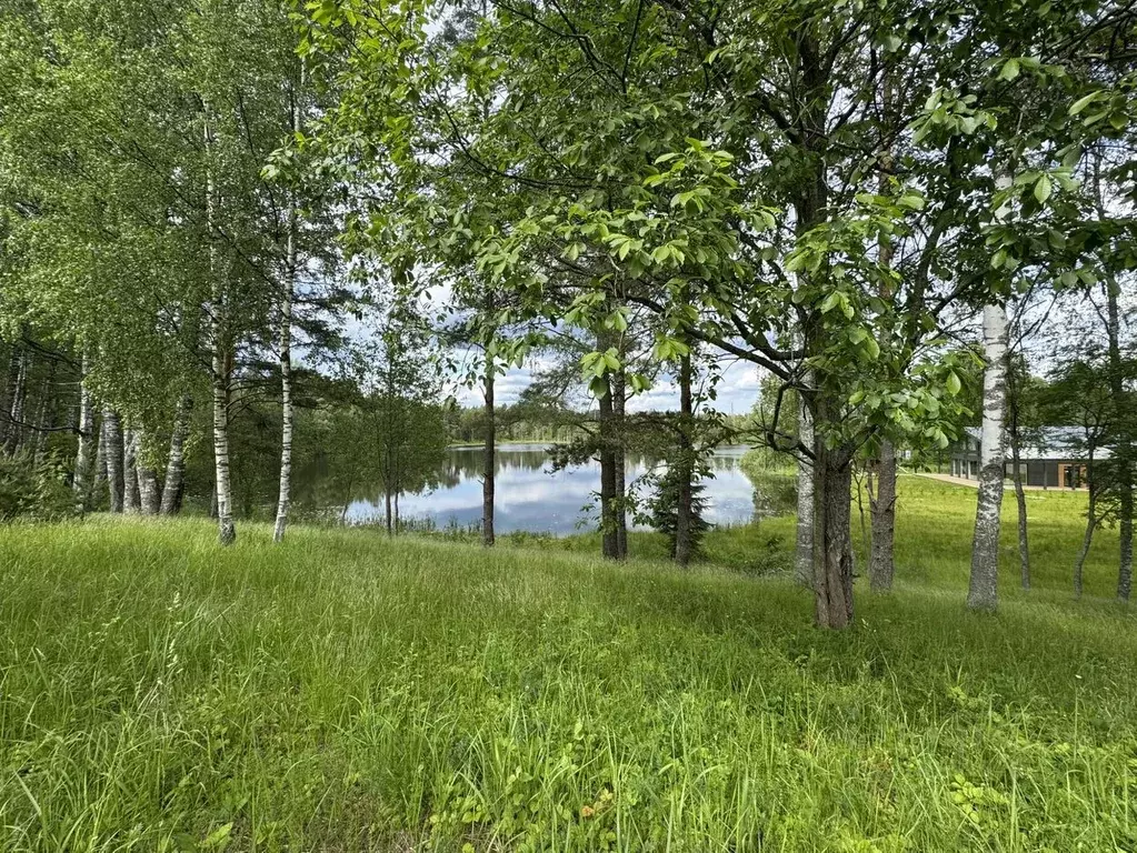 Участок в Ленинградская область, Всеволожский район, Куйвозовское ... - Фото 2