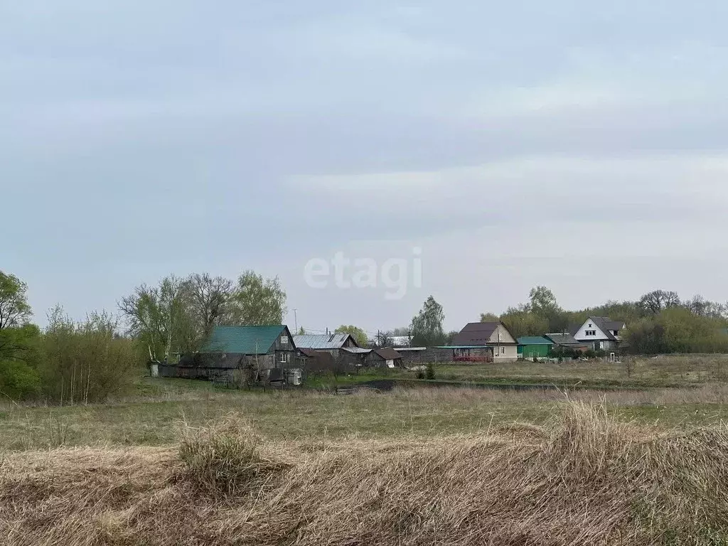 Участок в Тамбовская область, Мичуринский муниципальный округ, с. ... - Фото 0