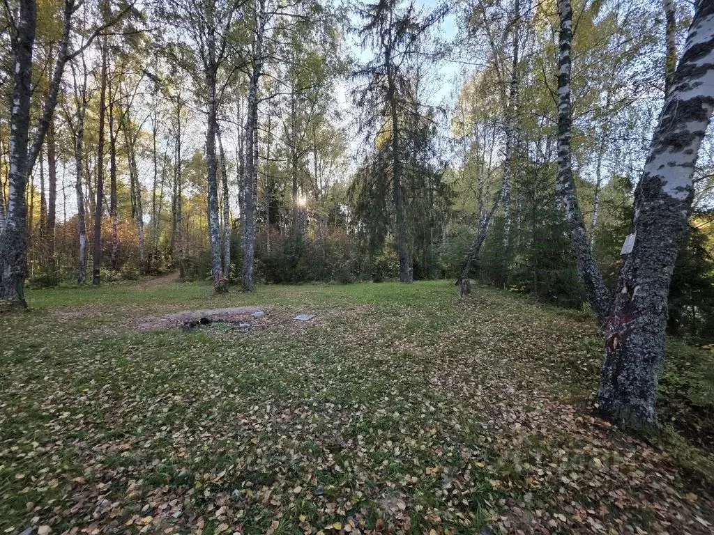 Участок в Нижегородская область, Чкаловск муниципальный округ, с. ... - Фото 2